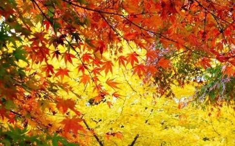 说明: //mmbiz.qlogo.cn/mmbiz_jpg/5Gr225Hkh6TEZY47heiaLITEmicZjsKTiaGRdFgIKrygClLEYG0fvV1mAvNwZcr96amHs2sb3IDCjYByICItplUibA/640?wx_fmt=jpeg 说明: //mmbiz.qlogo.cn/mmbiz_jpg/5Gr225Hkh6TEZY47heiaLITEmicZjsKTiaGRdFgIKrygClLEYG0fvV1mAvNwZcr96amHs2sb3IDCjYByICItplUibA/640?wx_fmt=jpeg